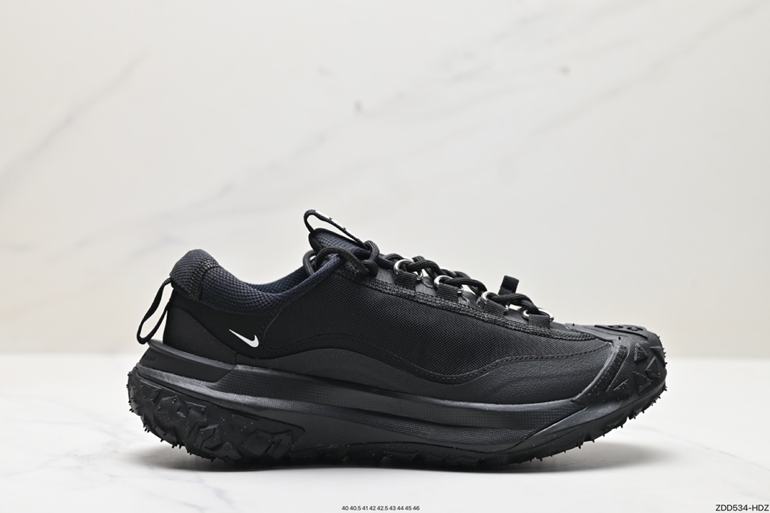 Nike ACG Shoes